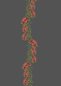 Design- C3 -105 Borders