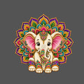 Design | C4 - 112 Animal