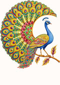 Design 13 | Bird