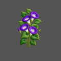 Design | C4 - 160 Flower