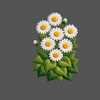 Design | C4 - 161 Flower