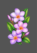 Design  C2 - 170 | Flower