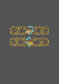 Design  C2 - 176 | Borders