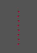 Design  C2 - 212 | Borders