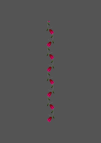 Design  C2 - 212 | Borders