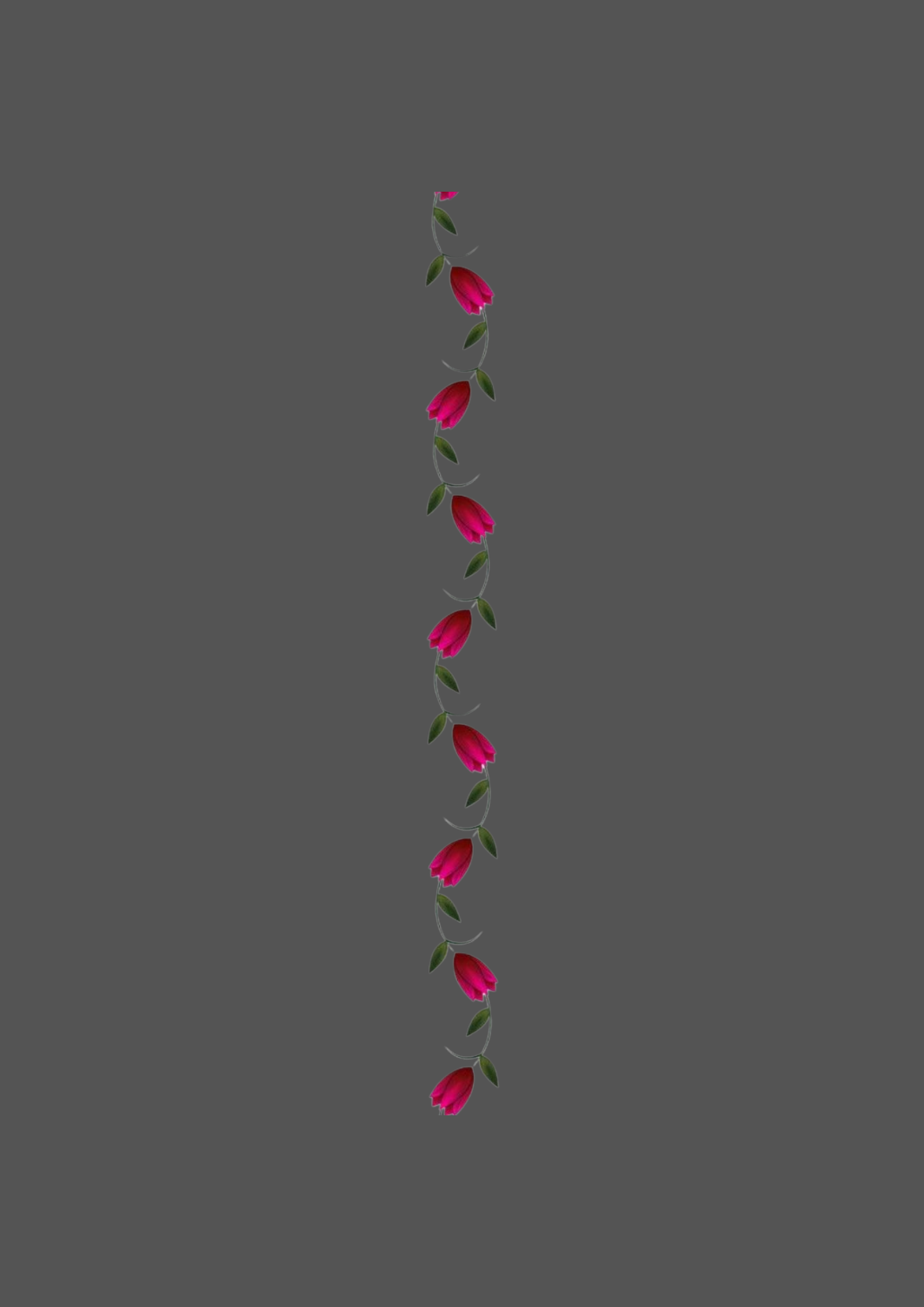 Design  C2 - 212 | Borders