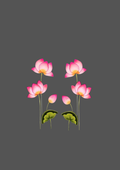 Design  C2 - 214 | Flower