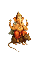 Design  C2 - 25 | God
