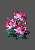 Design  C2 - 290 | Flower