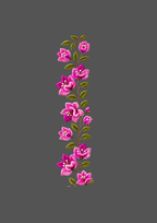 Design  C2 - 310 | Borders