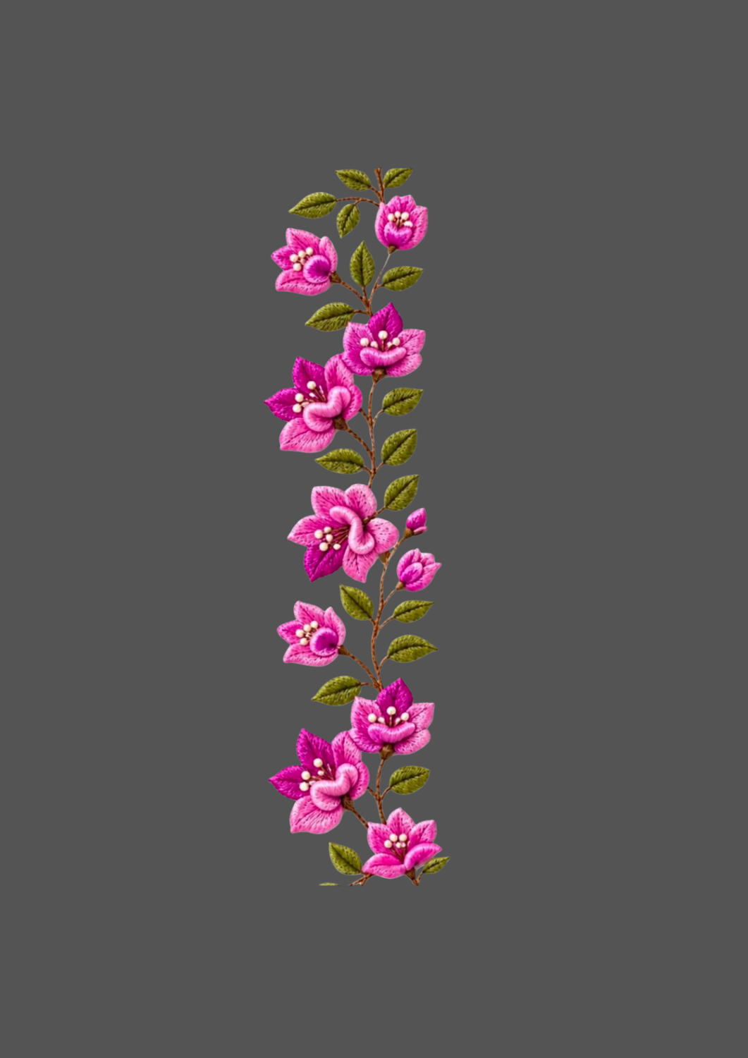 Design  C2 - 310 | Borders