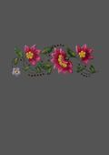 Design  C2 - 312 | Borders
