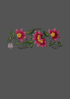 Design  C2 - 312 | Borders