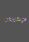Design  C2 - 315 | Borders