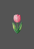 Design  C2 - 347 | Flower