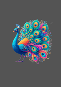 Design  C2 - 350 | Bird
