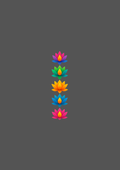 Design  C2 - 355 | Borders