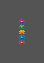 Design  C2 - 355 | Borders