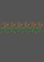 Design  |C3 - 35 Borders