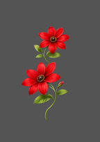 Design  C2 - 366 | Flower