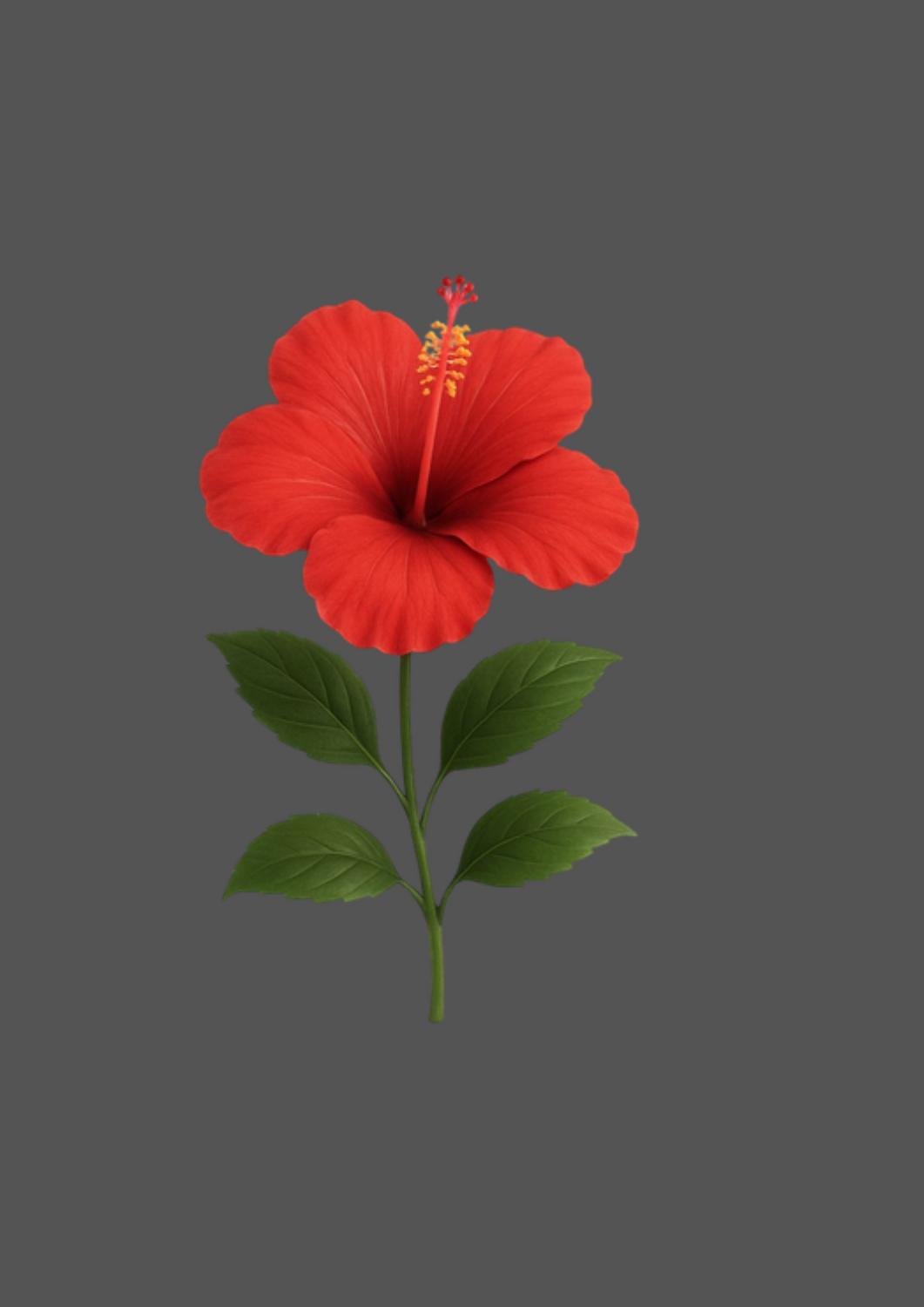 Design  C2 - 370 | Flower