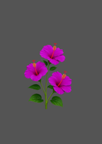 Design  C2 - 371 | Flower