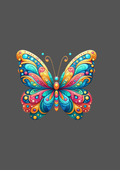 Design  C2 - 376 | Kids