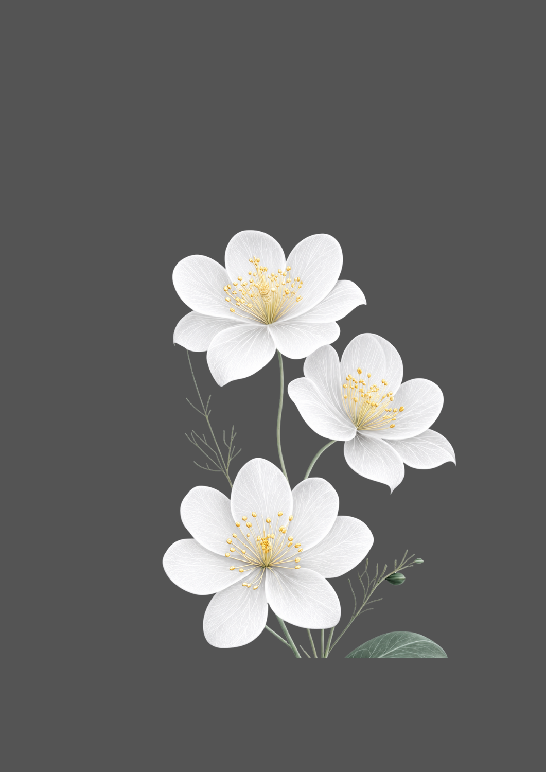 Design  C2 - 407 | Flower