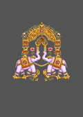 Design  C2 - 413 | Borders