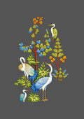 Design  |C3 - 42 Bird