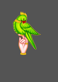 Design  C2 - 423 | Bird