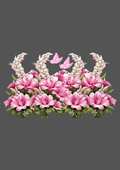 Design  C2 - 428 | Borders