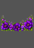 Design  C2 - 434 | Borders
