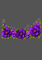 Design  C2 - 434 | Borders