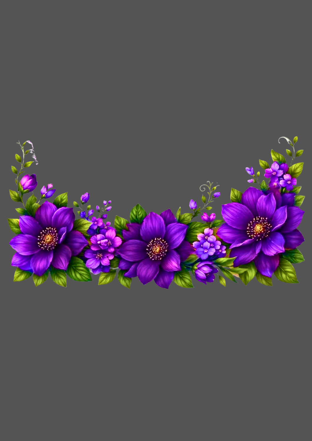 Design  C2 - 434 | Borders