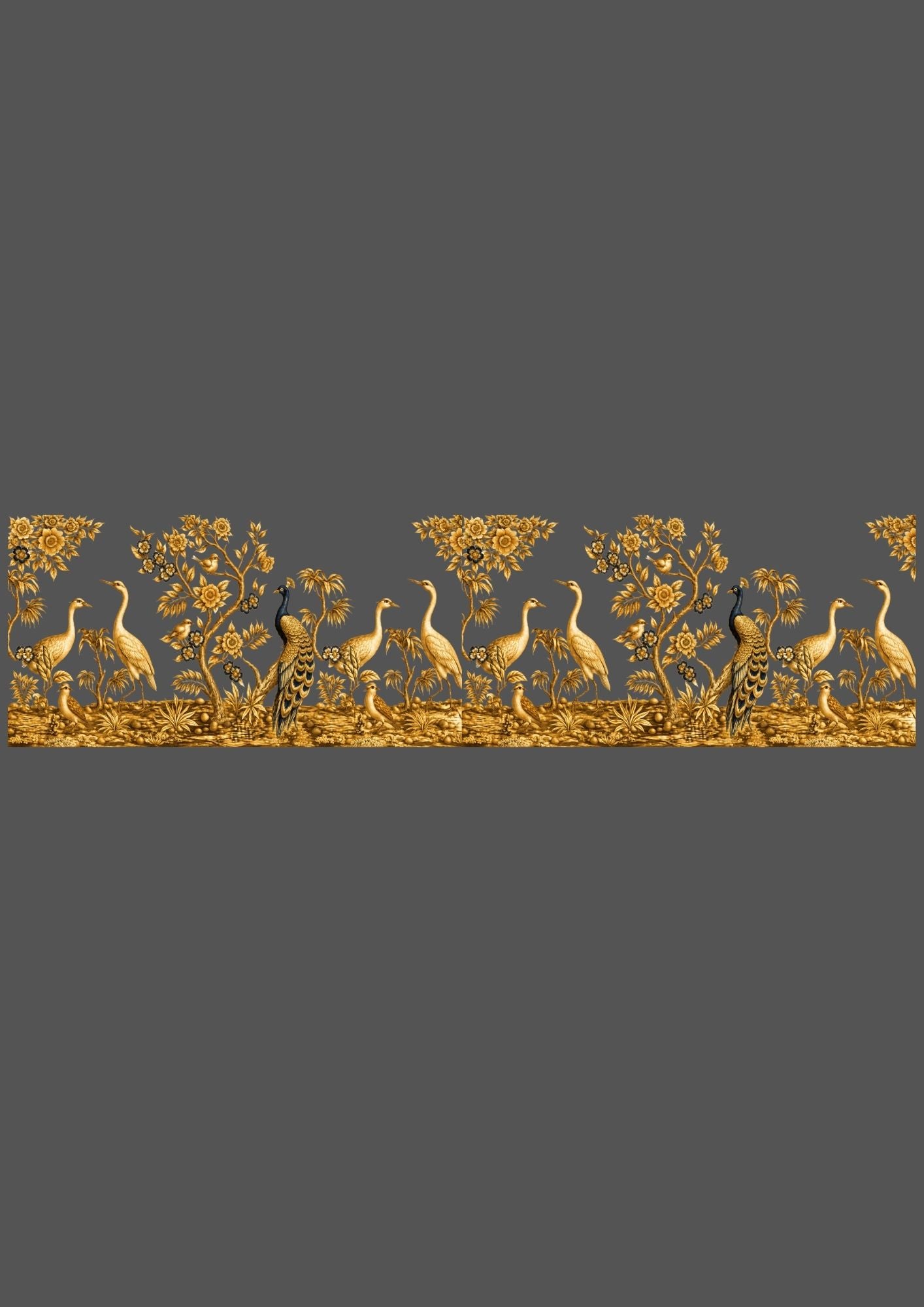 Design  |C3 - 44 Borders