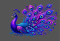 Design  |C4 - 52 Bird