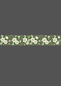 Design- C3 -53 Borders
