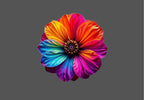Design  |C4 - 55 Flower
