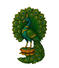 Design 4 | Bird