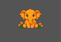 Design  |C4 - 70 Kids