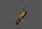Design  |C4 - 78 Bird