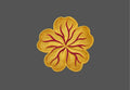 Design  |C4 - 79 Flower